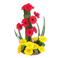 Friendship Day Flower Delivery of Yellow Red Gerbera Basket 18 Flowers in Mumbai