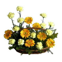 Place order for Yellow Gerbera White Carnation Basket 20 Flowers to Mumbai Online on Rakhi