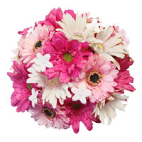 Send online Diwali Flowers to Mumbai consist of White Pink Gerbera Bouquet 36 Flowers