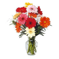 Get Online Diwali Flowers to Mumbai. Mixed Gerbera Vase 12 Flowers