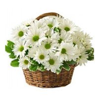 Deliver Diwali Flowers in Mumbai that includes White Gerbera Basket of 20 Flowers to Mumbai