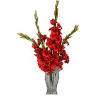 Send Online Flowers to Mumbai