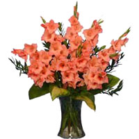 Send Flowers to Mumbai : Flowers to Mumbai