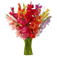 Best Flower Delivery in Mumbai