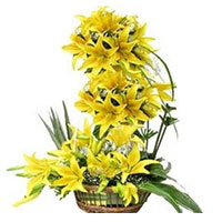 Send Send Friendship Day Flowers to Mumbai Yellow Lily 2 Ft Arrangement 50 Flower Delivery in Mumbai