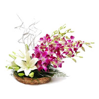 Diwali Flowers Delivery to Mumbai. 2 White Lily 6 Purple Orchids Basket Flowers to Mumbai