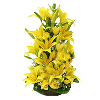 Send Yellow Lily Basket 15 Flower to Mumbai on Friendship Day