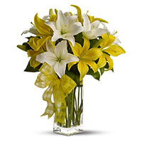 Deliver Flowers in Mumbai, White Yellow Lily Vase 6 Flower Stems 