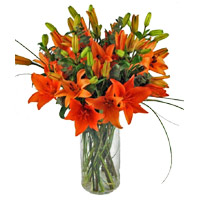 Send Rakhi with Orange Lily Vase 8 Stems Flowers in Mumbai