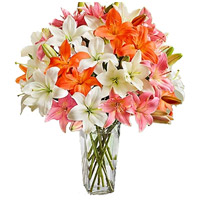 Friendship Day Online Flowers Delivery. Send Pink White Lily Vase 18 Flower Stems