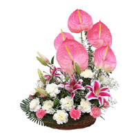 Online Flower Delivery in Mumbai - Anthurium Basket