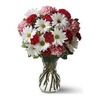 Place Order for Christmas Flowers in Mumbai consisting Mix Gerbera Carnation 24 Flowers in Vase Mumbai.