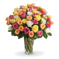 Online Florist to Mumbai