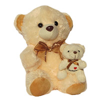 Buy 12 inc Baby with Mom Teddy in Mumbai. Same Day Christmas Gifts to Navi Mumbai