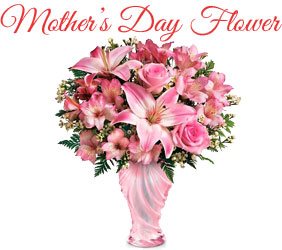 Send Mother's Day Flowers to Mumbai