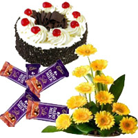 Best Gift for Friendship Day. Send Arrangement of 12 yellow Gerbera with 5 Dairy Milk Silk(60 gm. each) and 1 kg Black Forest Cake