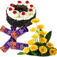 Elegant Arrangement of 12 yellow Gerbera with 5 Dairy Milk Silk(60 gm. each) and 1 kg Black Forest Cake in Mumbai. Diwali Gifts to Mumbai