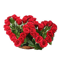Deliver Rose Day Flowers to Mumbai