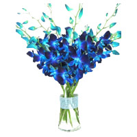 New Year Flowers in Mumbai including Blue Orchid Vase with 12 Stem Flowers in Mumbai