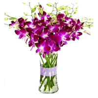 Online Newborn Flowers to Mumbai