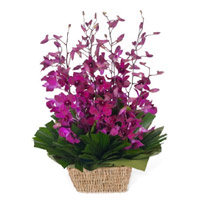 Reliable Florist in Mumbai