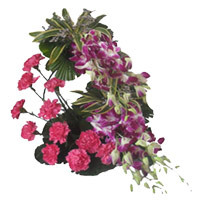 Buy Luxuries New Year Flowers to Mumbai. 6 Orchids 12 Pink Carnation Arrangement in Mumbai