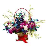 Send Online Housewarming Flowers to Mumbai