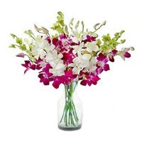 Order Diwali Flowers Online in Mumbai along with Purple White Orchid in Vase 10 Flowers