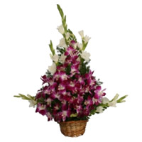 Rakhi Delivery in Mumbai with 8 Orchids and 10 Glads Arrangement
