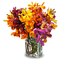 Best Rakhi Flowers Delivery in Mumbai made of Mixed Orchid Vase 10 Flowers Stem