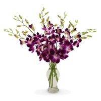 New Year Flowers in Vase in Mumbai together with Purple Orchid Vase of 10  Stem Flowers in Mumbai