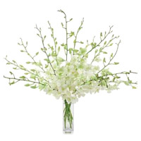 Buy Online Flowers to Mumbai