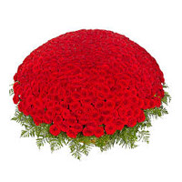 Send Flowers in Mumbai