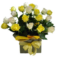 Flowers to Mumbai