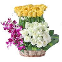 Deliver Rose Day Flowers to Mumbai