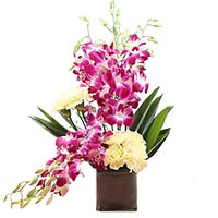 Deliver Flowers in Mumbai